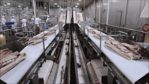 肉联厂生产加工线